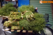 Bí mật tâm linh của việc người Việt tắm nước lá mùi ngày 30 Tết