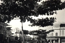 Loạt ảnh khó quên về Nha Trang năm 1934 qua ống kính người Pháp 