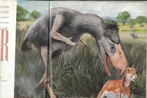 Soi loài chim khủng khiếp nhất từng lang thang trên quả đất