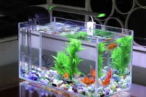 Nhà có bể cá chớ đặt 4 vị trí xui xẻo này tiền bạc tiêu tán