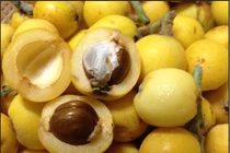 Loại quả rừng vốn không ai để ý bỗng gây sốt vì điều này 