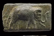 Voi chiến gặp lợn vì sao chạy dài?