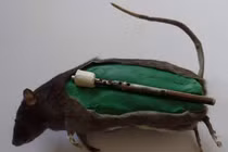 Tiết lộ chấn động về bom chuột hủy diệt khủng khiếp Thế chiến II