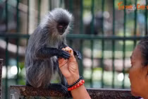 Top 10 địa điểm phải ghé thăm ở phường Sài Gòn, TP HCM