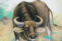 Tháng 10 âm lịch hết vận xui, bốn con giáp gia tăng phúc lộc