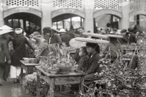 Ngưỡng mộ thú chơi hoa Tết tinh tế của dân Hà Nội xưa