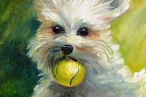 Hai năm tới: 3 con giáp phúc khí hơn người