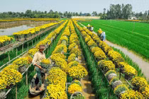 Khám phá tên gọi về địa danh Sa Đéc