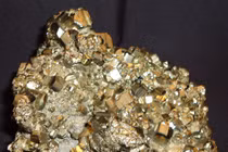 Cận cảnh “vàng của thằng khờ” khiến nhiều người ôm hận