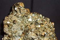 Cận cảnh “vàng của thằng khờ” khiến nhiều người ôm hận