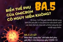 Biến thể phụ BA.5 của Omicron có nguy hiểm không?