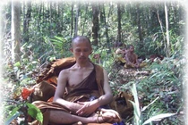 Tu hạnh Đầu-đà: Quá khó và khổ, ít người tu được trọn vẹn