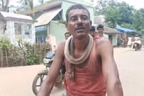 Người đàn ông bị rắn hổ mang cắn và hành động gây sốc 