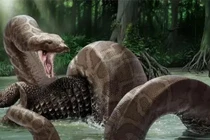 Phát hoảng về kích cỡ con rắn lớn nhất thế giới 