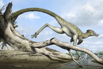 Lộ diện 'Rồng cát' 72 triệu năm tuổi lộ diện giữa sa mạc