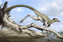 Lộ diện 'Rồng cát' 72 triệu năm tuổi lộ diện giữa sa mạc