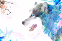 Nghênh tài đón lộc, 3 tuổi nghèo mấy cũng giàu trước Rằm tháng 2