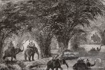 Ảnh độc về hành trình thám hiểm Campuchia cuối thế kỷ 19