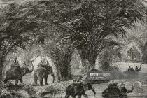 Ảnh độc về hành trình thám hiểm Campuchia cuối thế kỷ 19