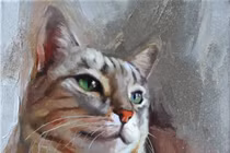 Con giáp xui xẻo cuối tuần (12/3 - 13/3): Tình tiền luẩn quẩn, làm gì cũng thua 