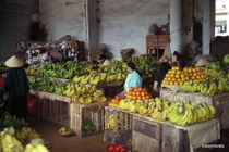 Góc nhìn cực lạ về phố núi Đà Lạt năm 1996