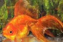 Vì sao người Việt xưa "nghiện" chơi cá vàng vào ngày Tết Nguyên Đán? 