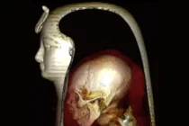 Khám phá kỹ thuật xử lý xác ướp độc đáo của người Ai Cập