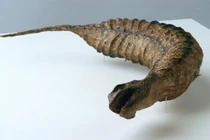 Rùng mình top quái vật nhiều người tin có thật 100% ở Nhật Bản