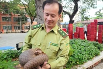 TPHCM liên tục phát hiện động vật quý hiếm sau đêm mưa