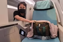 Việt Hương nhắn Phi Nhung: '9 tháng không được ăn kẹo sâm của bà'