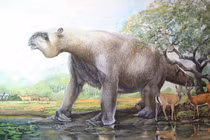 Khó tin loài lười khổng lồ thời tiền sử, bơi cực giỏi