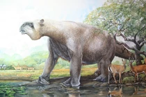 Khó tin loài lười khổng lồ thời tiền sử, bơi cực giỏi