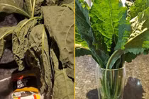 Mẹo cực hay "hồi sinh" rau héo thành rau tươi trong nửa nốt nhạc