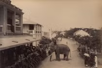 Lạ lùng cảnh voi xuất hiện trên đường phố Hà nội xưa