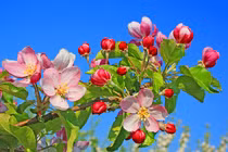 Người sinh ngày Âm này, sự nghiệp bất ngờ đột phá sau Tết Nhâm Dần