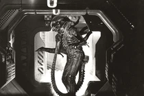 Người ngoài hành tinh có thật, đang quan sát chúng ta?