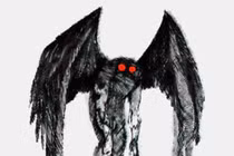 "Truyền thuyết" đầy ám ảnh về chim đen Chernobyl 