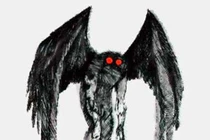 "Truyền thuyết" đầy ám ảnh về chim đen Chernobyl 