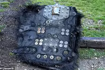 Vật thể bí ẩn đầy lông lá rơi xuống sân vườn ở Mỹ