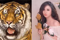 3 con giáp đã họa tam tai lại còn kèm Thái Tuế năm Nhâm Dần 