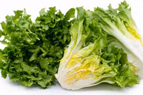 7 nhóm người nên tránh xa rau xà lách kẻo “rước thêm bệnh”
