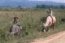 Loạt ảnh cuộc sống thanh bình ở Điện Biên Phủ năm 1992