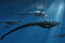 Rùng mình sinh vật khổng lồ có thật, nguyên mẫu quái vật hồ Loch Ness