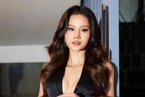 Giám đốc quốc gia Hoa hậu Hoàn vũ Việt Nam mới thay thế là ai?