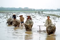 Cuộc sống ở miền Bắc Việt Nam năm 1973 qua ống kính quốc tế 