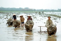 Cuộc sống ở miền Bắc Việt Nam năm 1973 qua ống kính quốc tế 