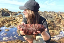 Kỳ lạ loài động vật trông như miếng thịt di động