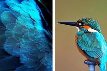 View - Ảnh hiếm các quan viên nhà Thanh qua ống kính phó nháy Tây | Báo Tri thức và Cuộc sống - TIN TỨC PHỔ BIẾN KIẾN THỨC 24H