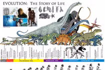 Lộ sự thật không thể tin nổi về hiện tượng đột biến gene