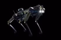 Quân đội Ấn Độ khoe chó robot chiến đấu gắn AI, công nghệ đỉnh sao? 